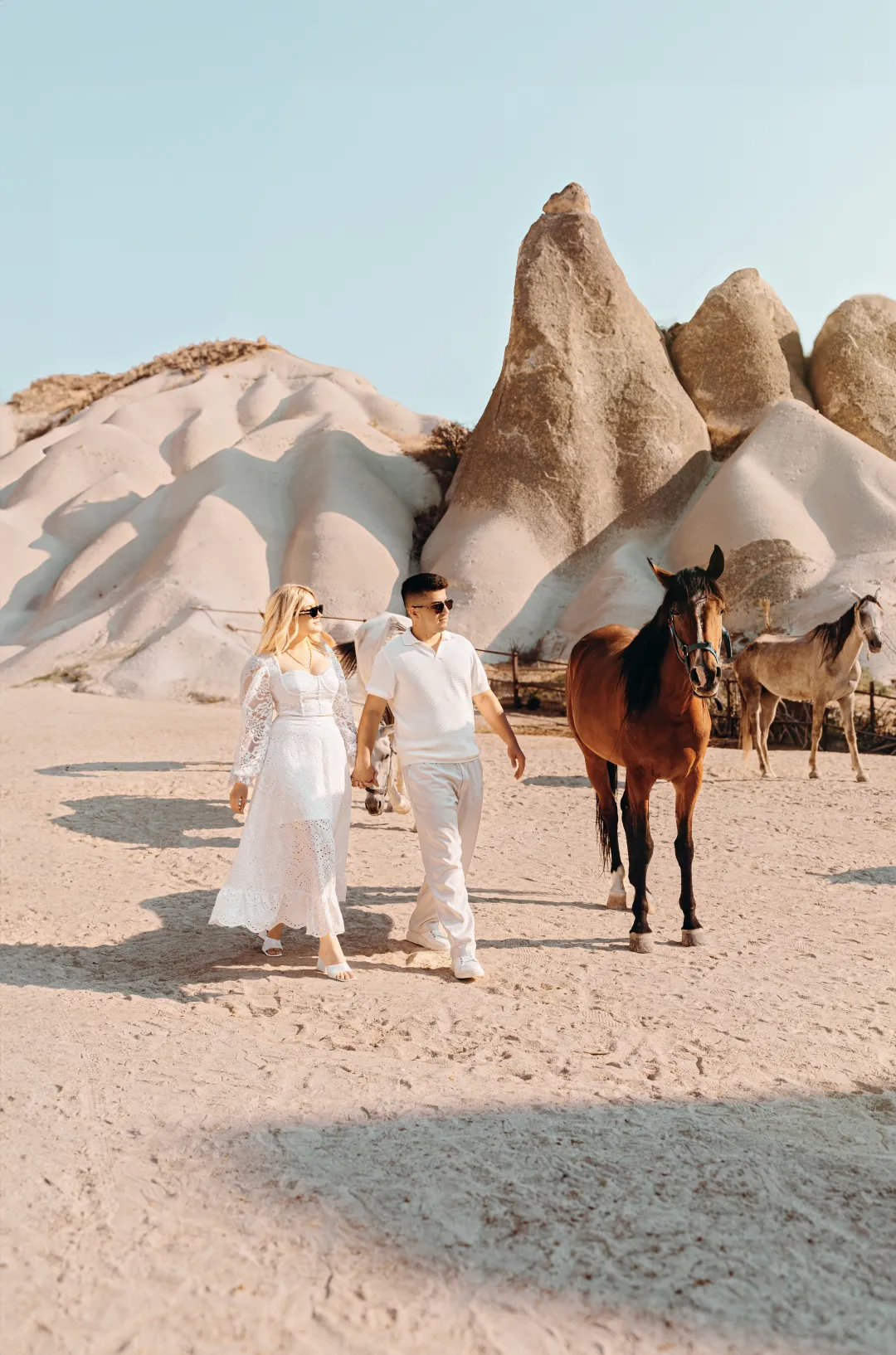 kapadokya-at-ciftligi-dis-cekim